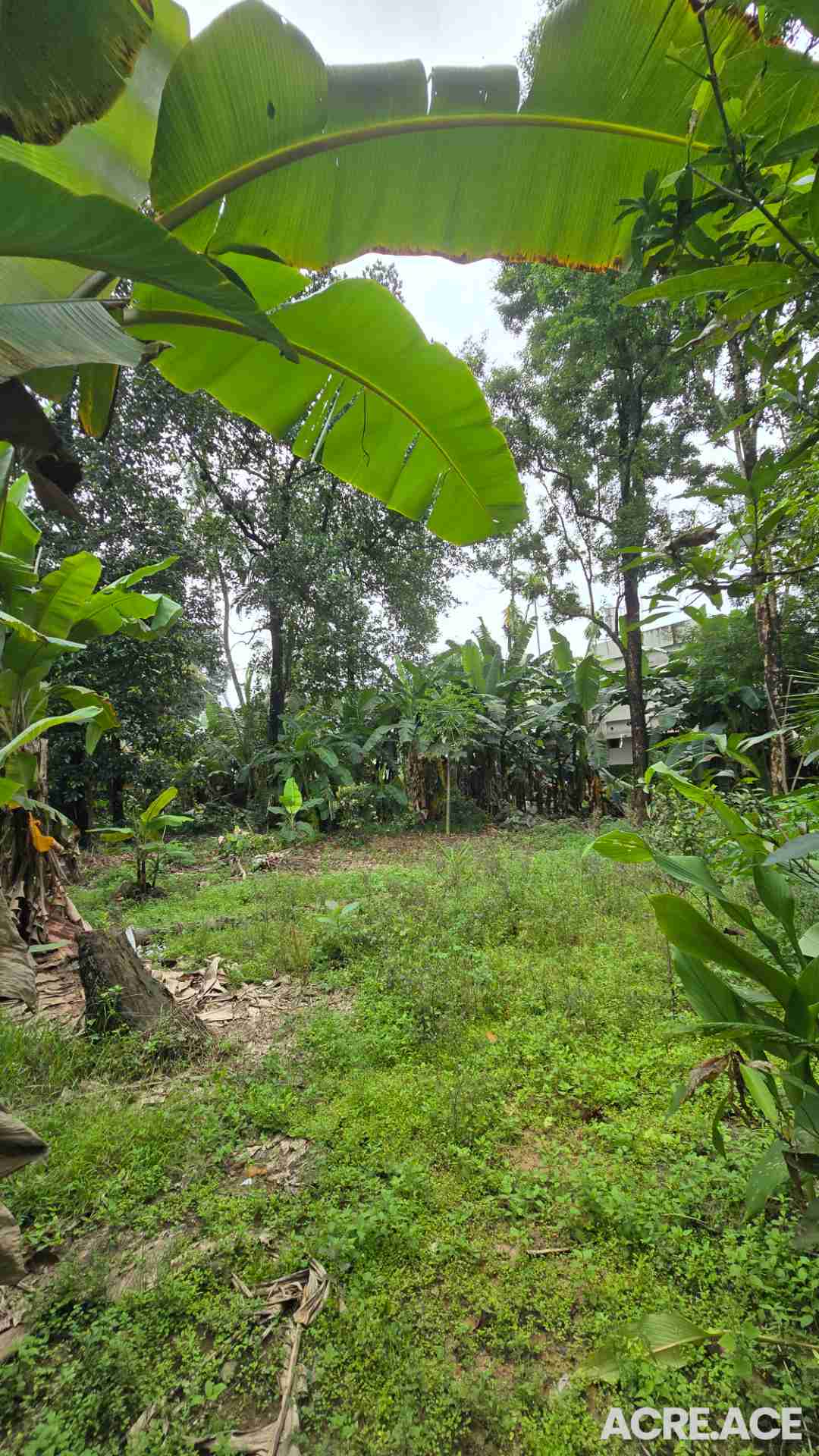 50 cent Plot for Rent in Edappally, Ernakulam, Kerala