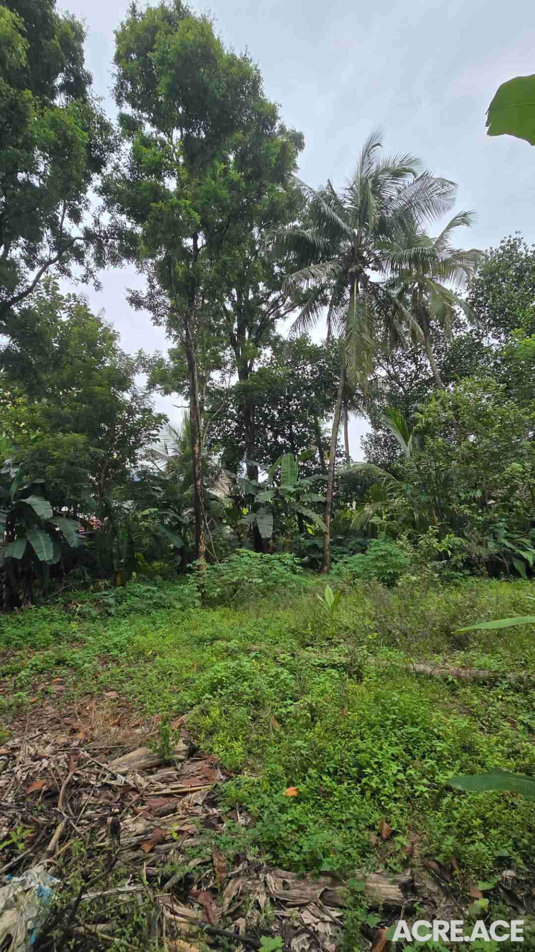 Property 1