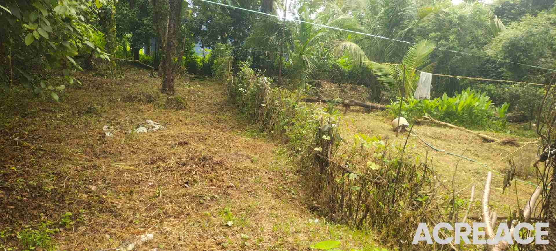 13 cent Plot for Sale in Pazhayannur, Thrissur, Kerala