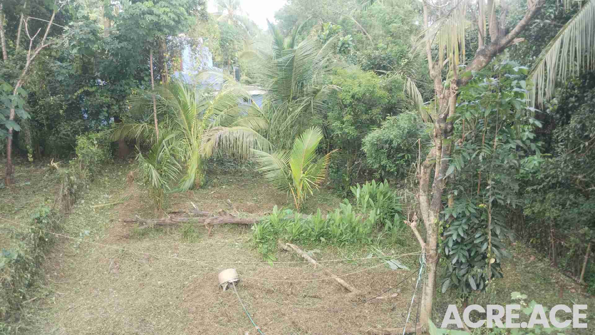 Property 2