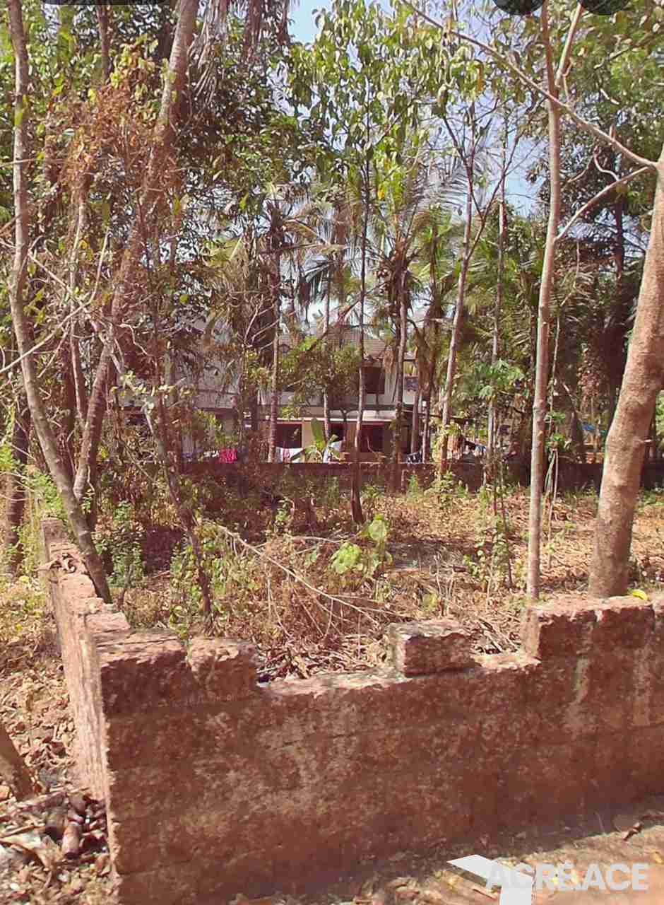 Property 1