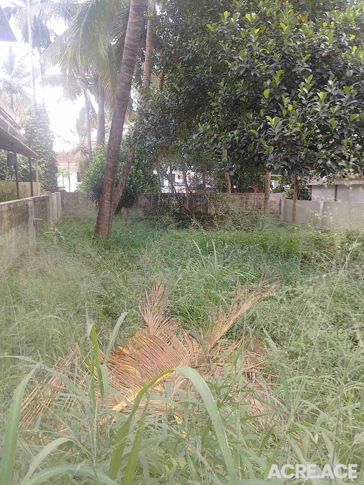 Property 1