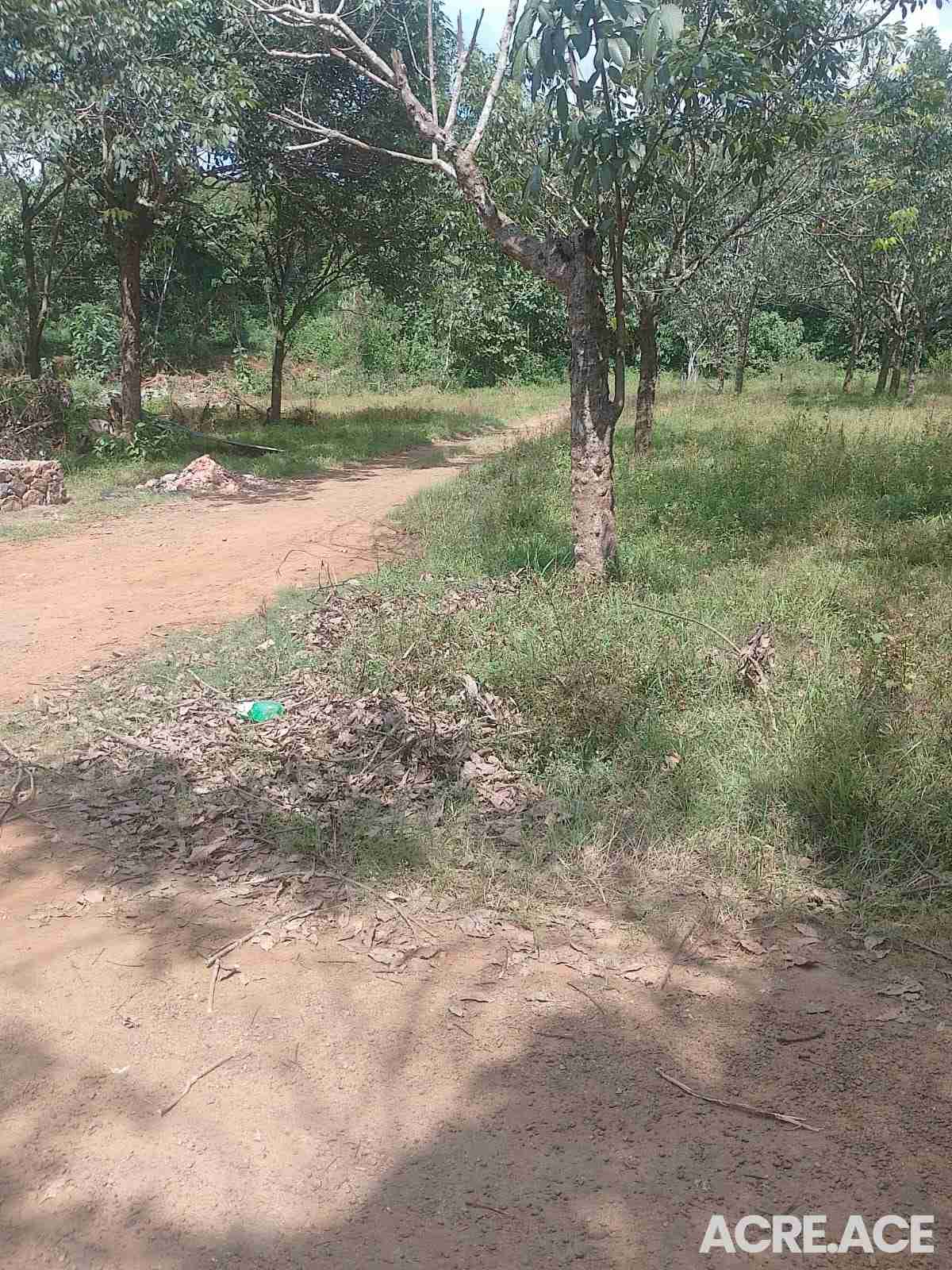 Property 2