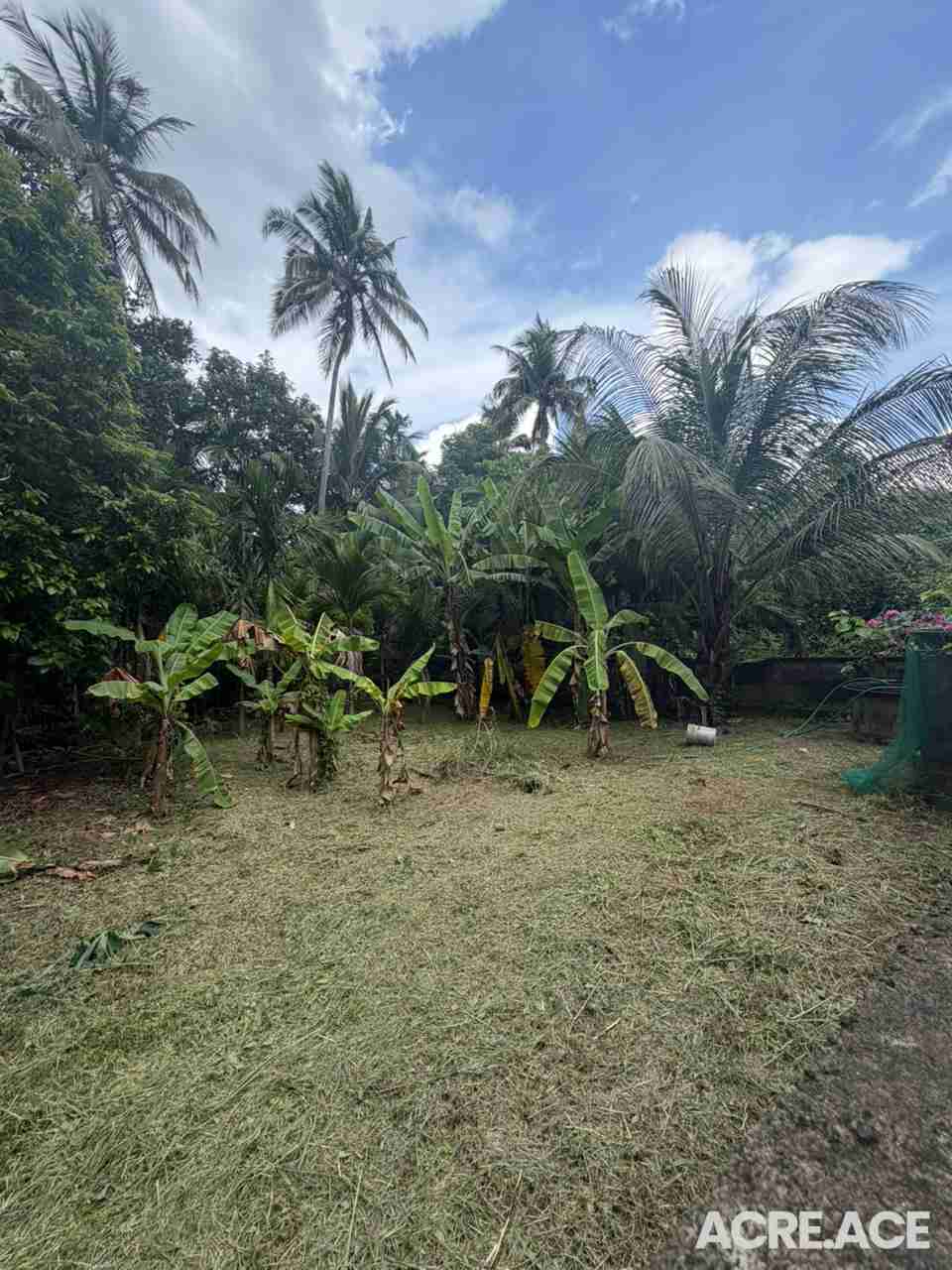 Property 1